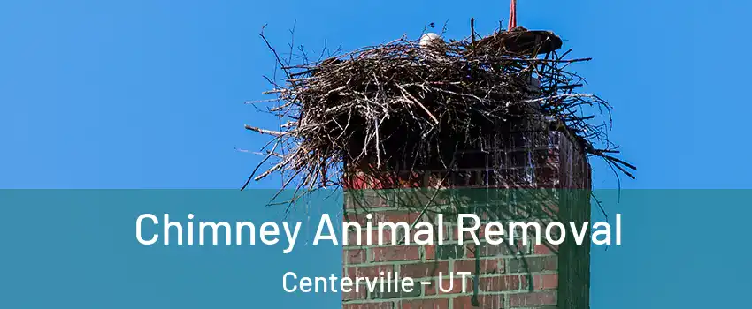 Chimney Animal Removal Centerville - UT