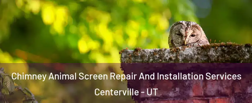  Chimney Animal Screen Repair And Installation Services Centerville - UT