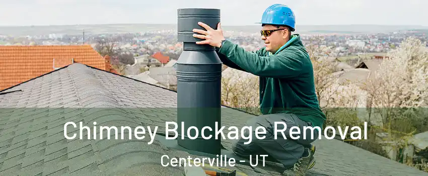  Chimney Blockage Removal Centerville - UT