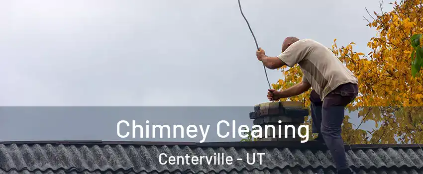  Chimney Cleaning Centerville - UT