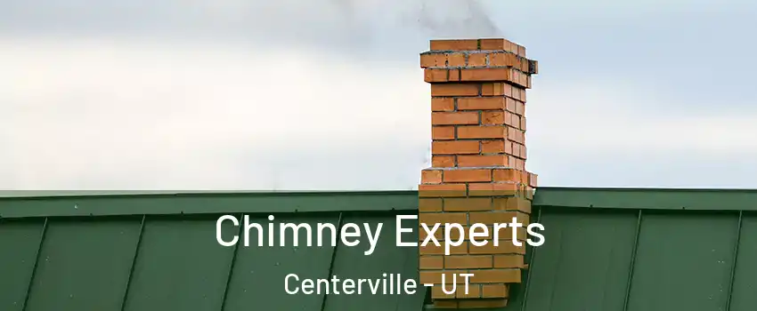 Chimney Experts Centerville - UT