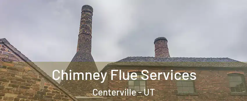  Chimney Flue Services Centerville - UT