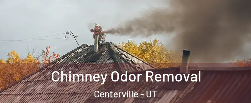  Chimney Odor Removal Centerville - UT