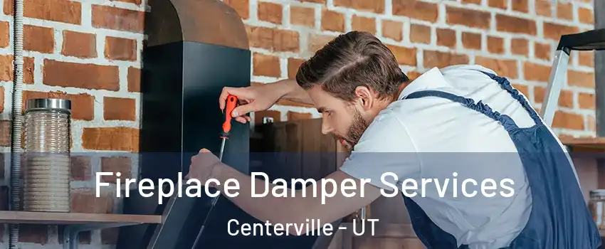  Fireplace Damper Services Centerville - UT