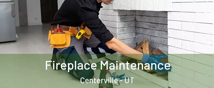  Fireplace Maintenance Centerville - UT