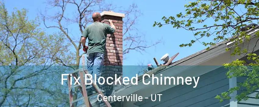  Fix Blocked Chimney Centerville - UT