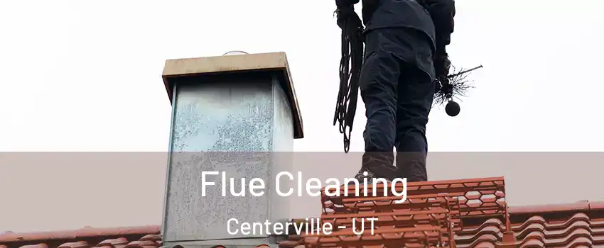  Flue Cleaning Centerville - UT
