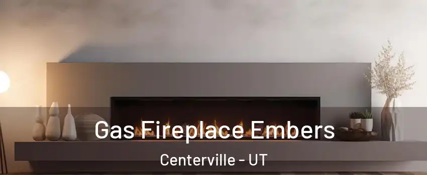 Gas Fireplace Embers Centerville - UT