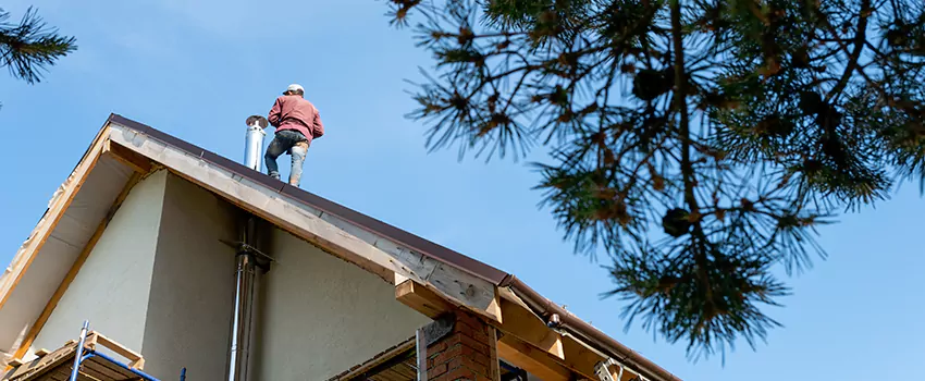 Birds Removal Contractors from Chimney in Centerville, UT