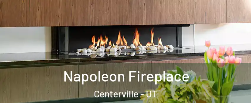  Napoleon Fireplace Centerville - UT